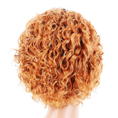 Summer 13X1 Lace Wig 150% Density Curly Human Hair Wig 6 Inch #1B/350 Color U2008