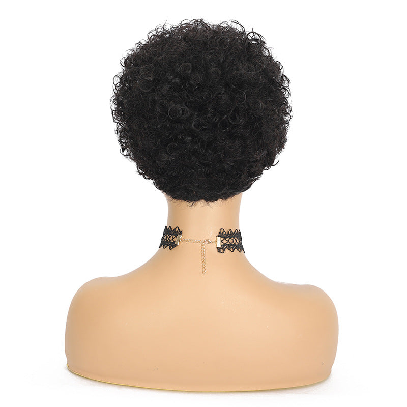 Summer Pixie Wig 150% Density Curly Human Hair Wig 6 Inch #1B Natural Color USH052